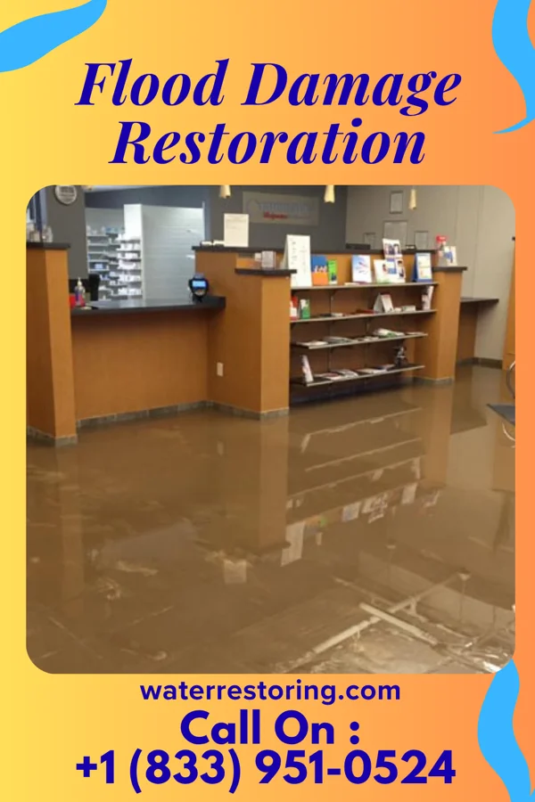 Flood Damage Restoration in Elkin, NC