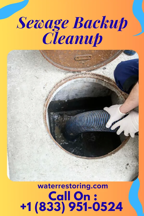 Sewage Backup Cleanup in Elkin, NC